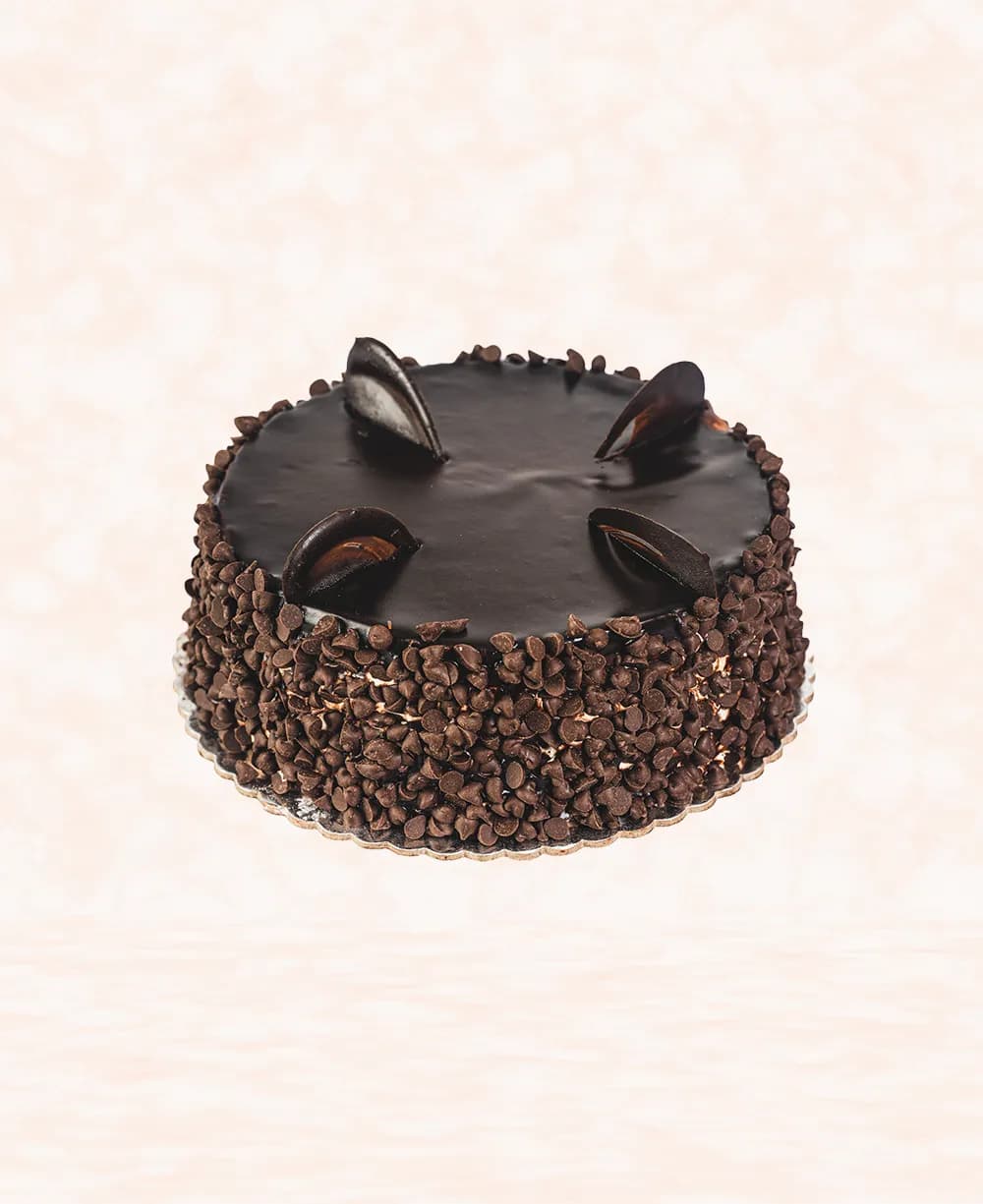 Chocolate Chips Cake