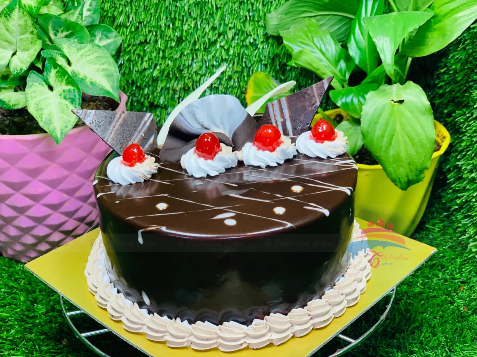 Normal Chocolate cake #122