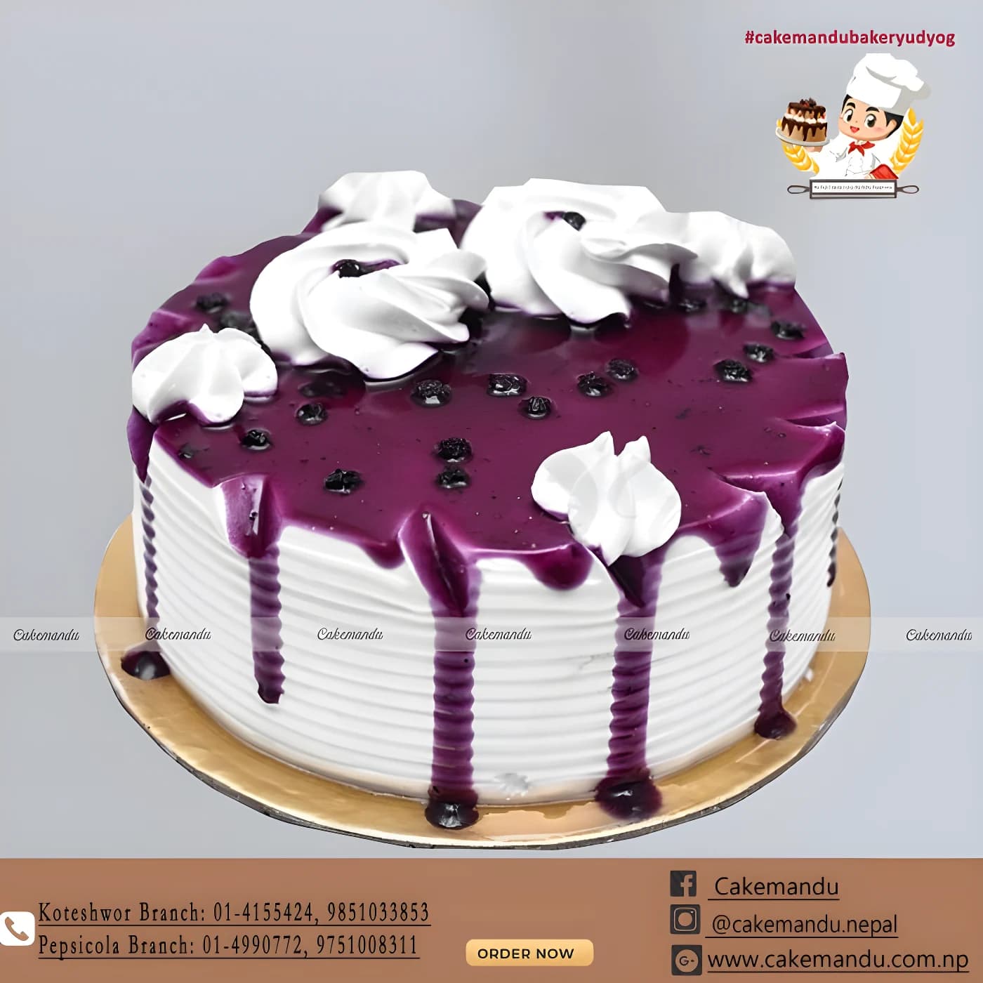Blueberry Cake