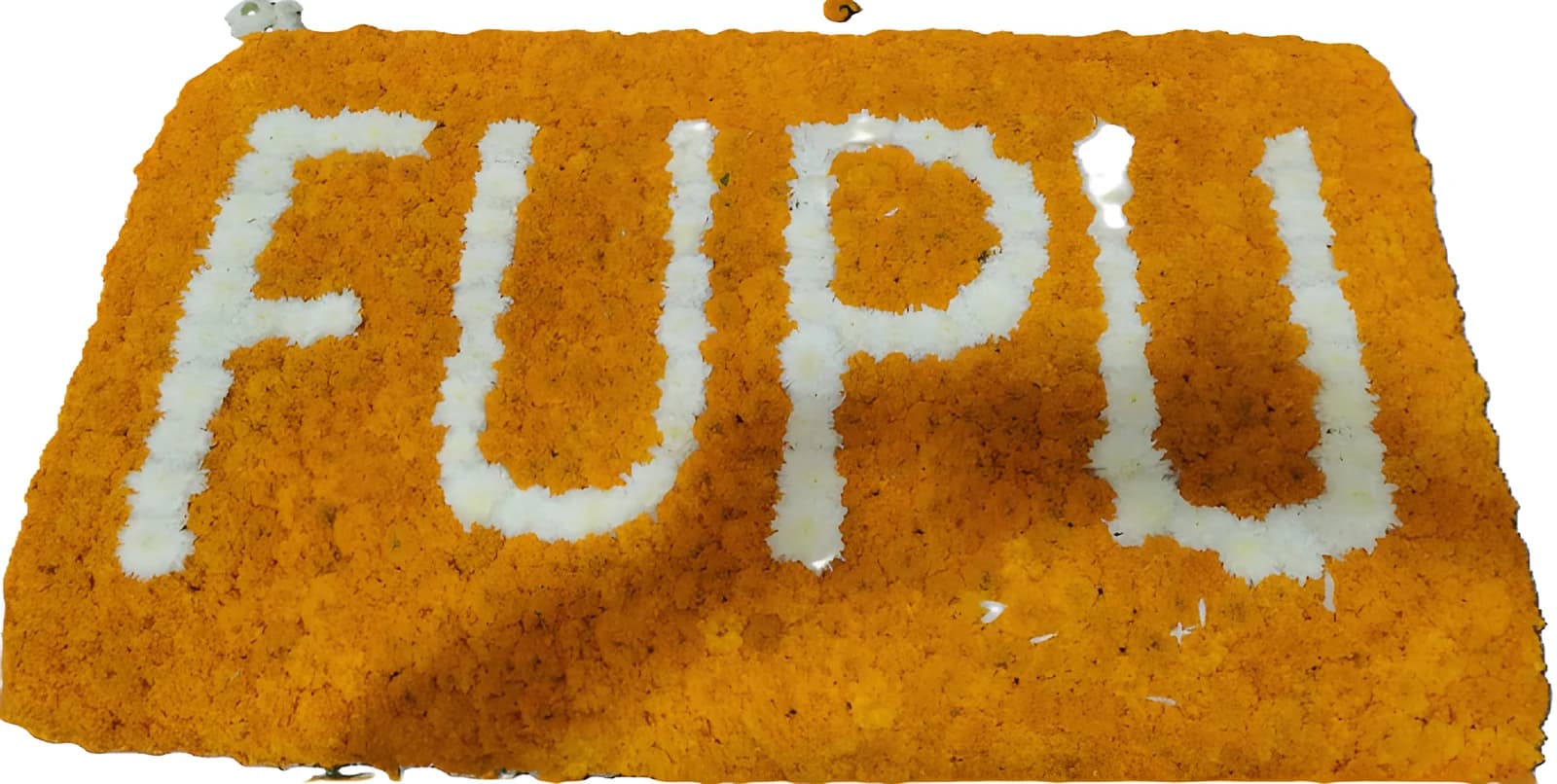 Fupu Flower Board