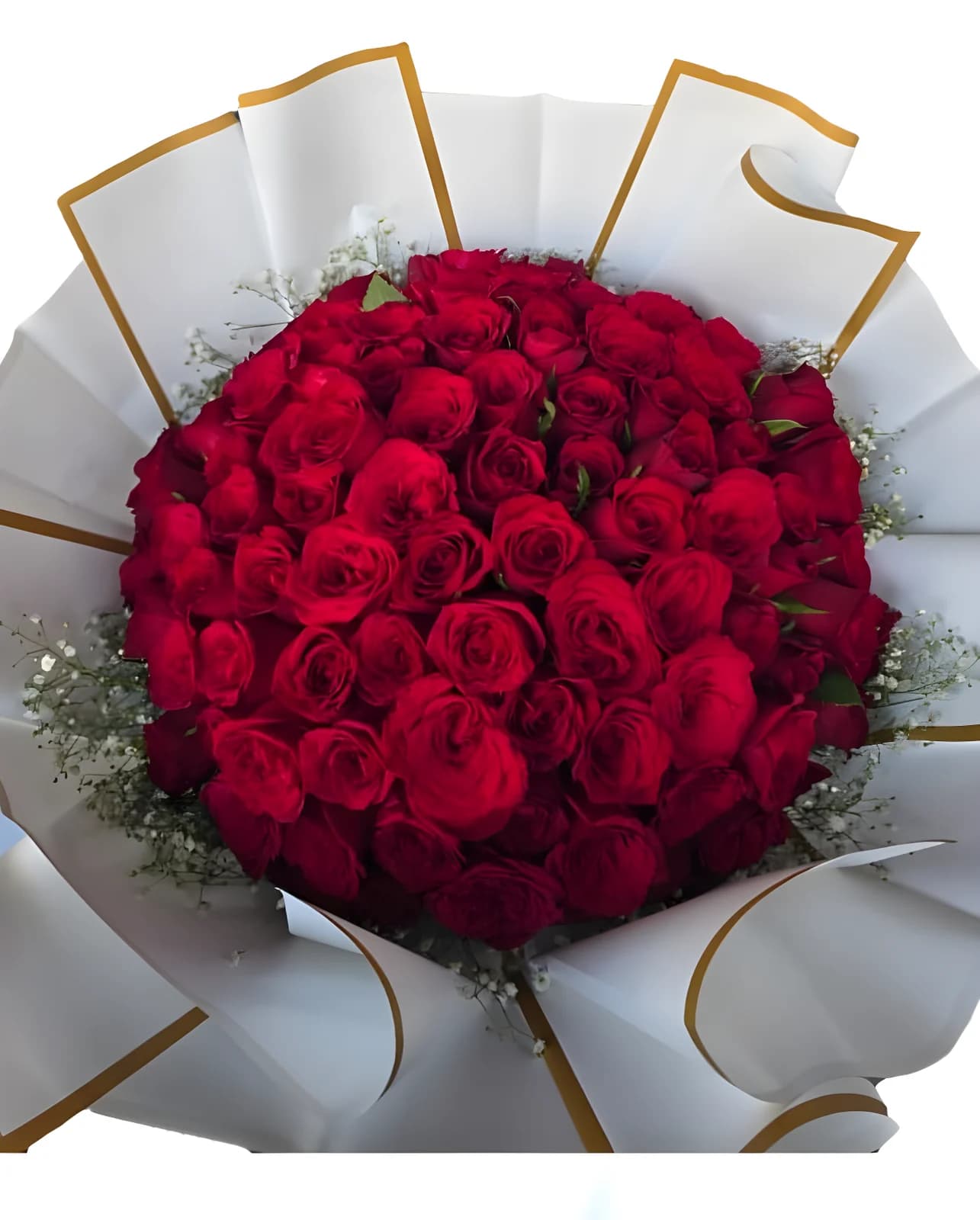 Royal Bloom Rose